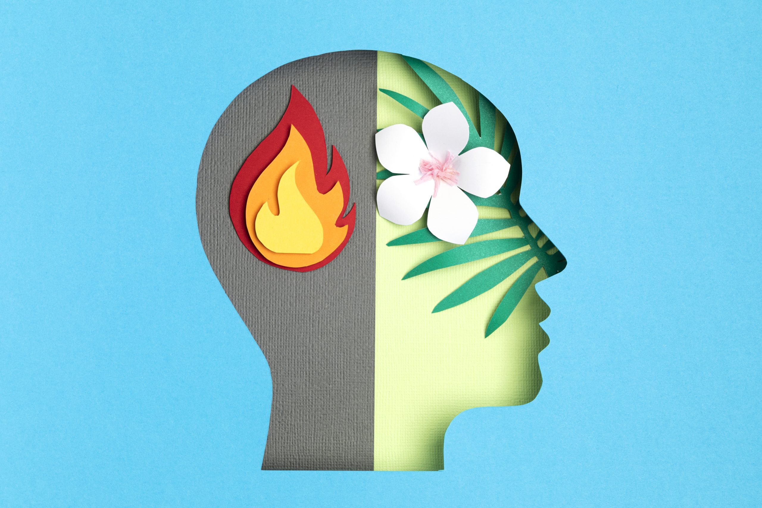 Understanding Borderline Personality Disorder – Breaking the Stigma and Building Empathy